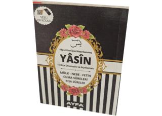 Kabe Desenli Türkçe Okunuşlu Yasin - Çanta Boy