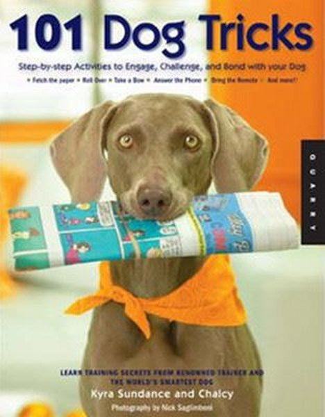 101 Dog Tricks: Step-by-Step Activities to Engage Challenge and Bond with Your Dog - Kyra Sundance kitap kapağı