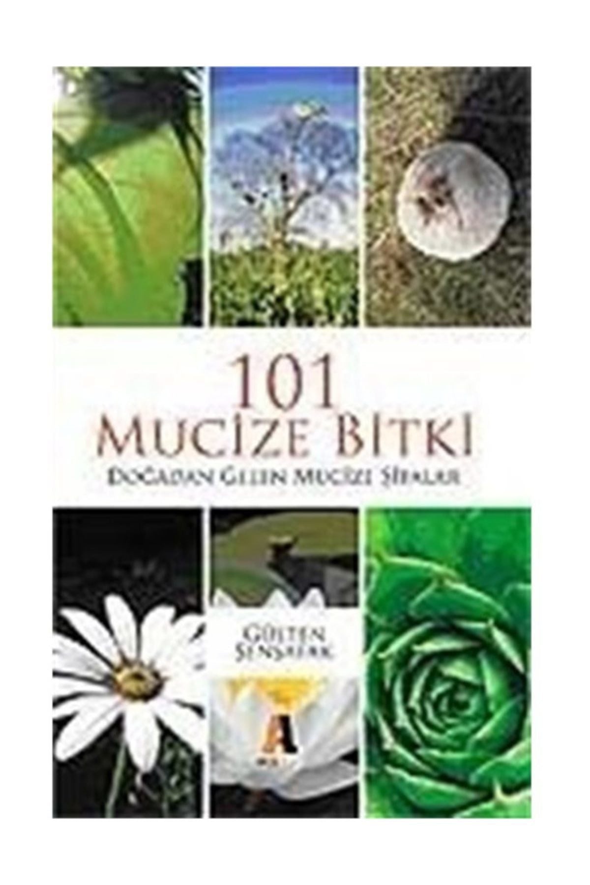 101 Mucize Bitki / Doğadan Gelen Sağlık - Gülten Şenşafak kitap kapağı