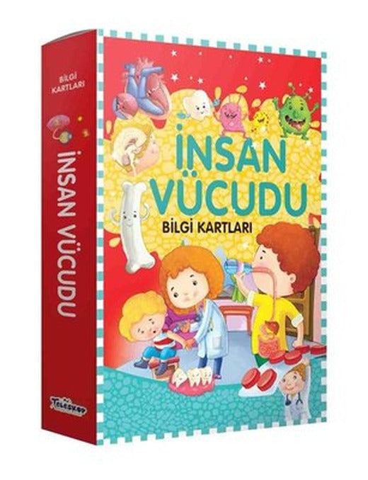 İnsan Vücudu - Bilgi Kartları | Teleskop Popüler Bilim