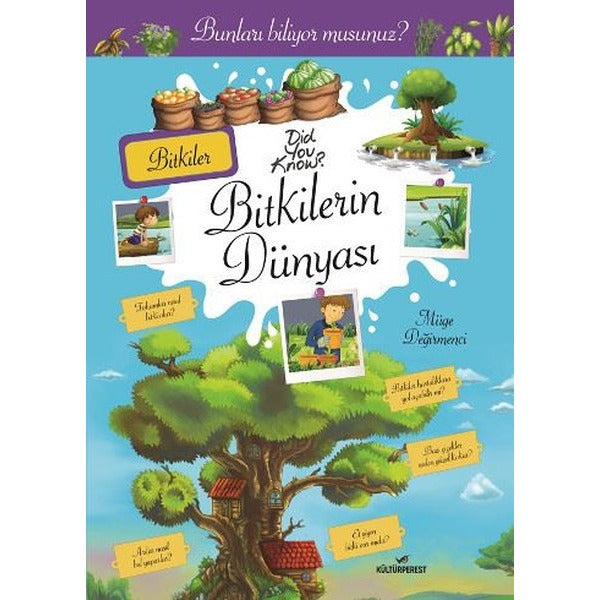 Bitkilerin Dünyası