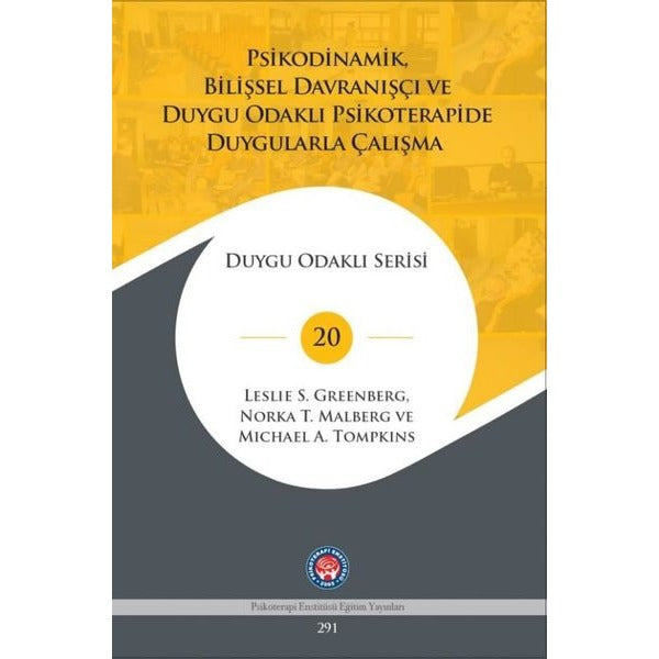 Psikodinamik, Bilişsel Davranışçı ve Duygu Odaklı Psikoterapide Duygularla Çalışma - Duygu Odaklı Serisi | Psikoterapi Enstitüsü