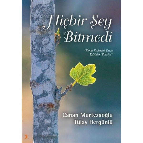 Hiçbir Şey Bitmedi - Kendi Kaderinin Tayin Edebilen Türkiye | Cinius
