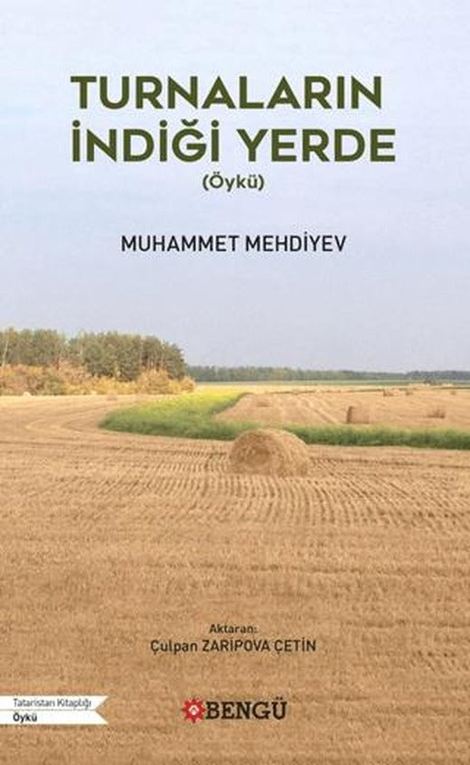 Turnaların İndiği Yerde