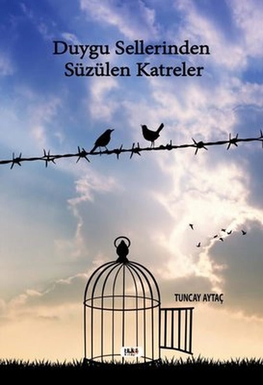 Duygu Sellerinden Süzülen Katreler | Tilki Yayınları
