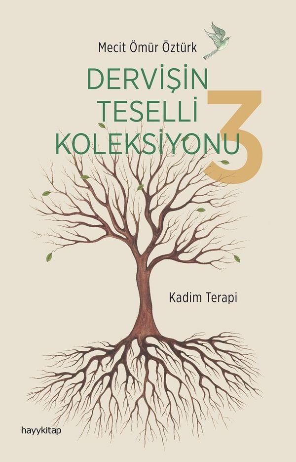 Dervişin Teselli Koleksiyonu 3 | Hayy Kitap