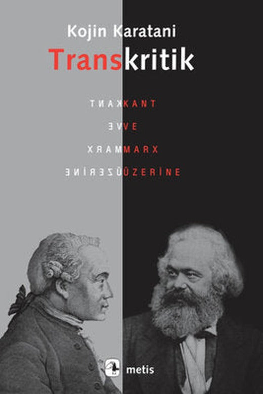 Transkritik | Metis Yayınları