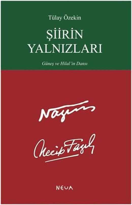 Şiirin Yalnızları