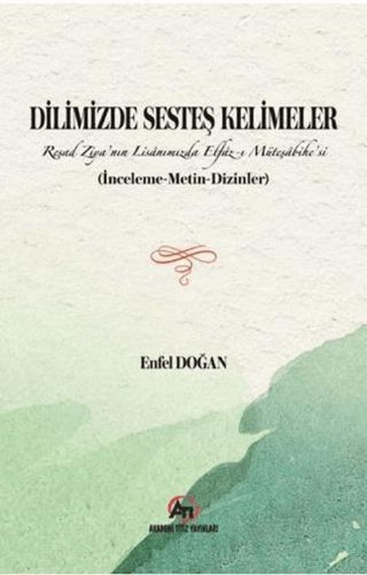 Dilimizde Sesteş Kelimeler | Akademi Titiz Yayınları (Ciltsiz)