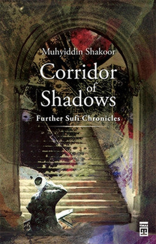 Corridor Of Shadows | Timaş Yayınları