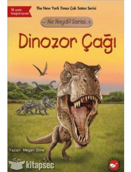 Dinozor Çağı Ne Neydi Serisi - Megan Stine kitap kapağı