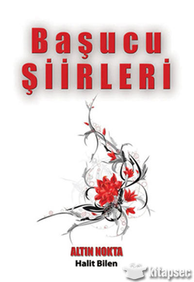 Başucu Şiirleri - Halit Bilen kitap kapağı