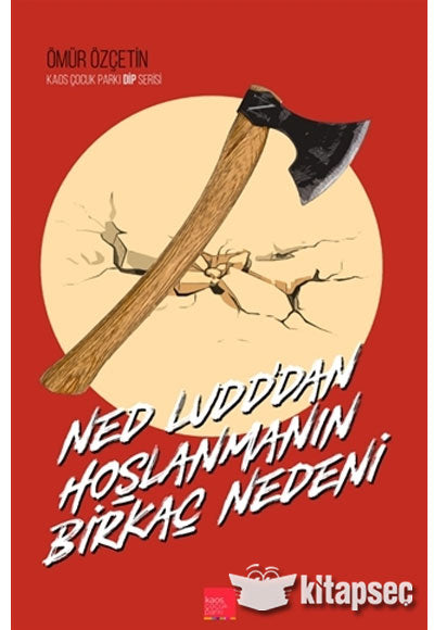 Ned Ludddan Hoşlanmanın Birkaç Nedeni - Ömür Özçetin kitap kapağı