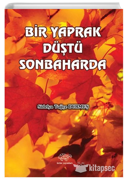 Bir Yaprak Düştü Sonbaharda - Sidelya Tuğçe Durmuş kitap kapağı