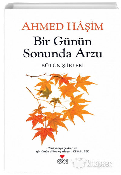 Bir Günün Sonunda Arzu - Ahmed Haşim kitap kapağı