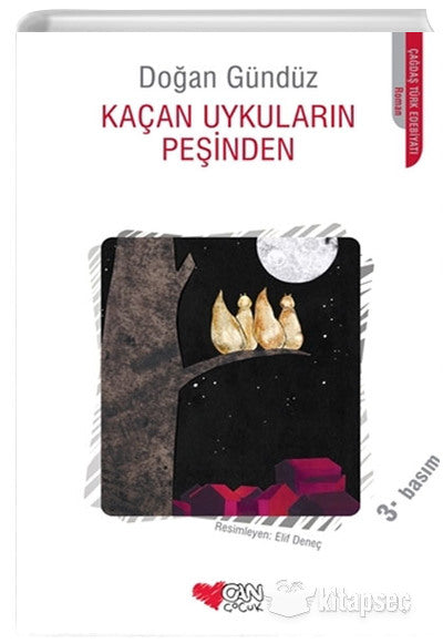Kaçan Uykuların Peşinden - Doğan Gündüz kitap kapağı