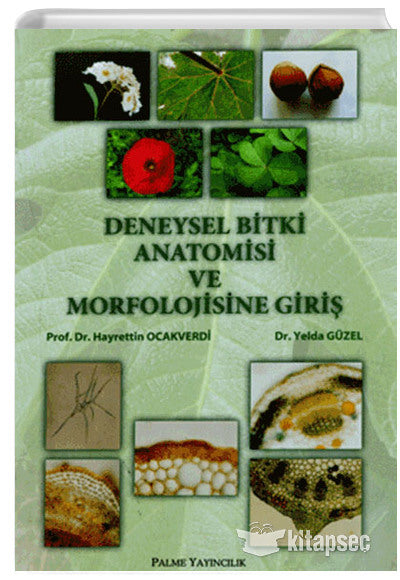 Deneysel Bitki Anatomisi ve Morfolojisine Giriş - Prof. Dr. Hayrettin Ocakverdi kitap kapağı