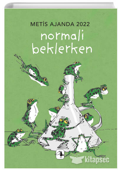 Normali Beklerken - Kolektif kitap kapağı