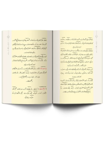 Ene ve Zerre Risaleleri Osmanlıca - Bediüzzaman Said Nursi kitap kapağı