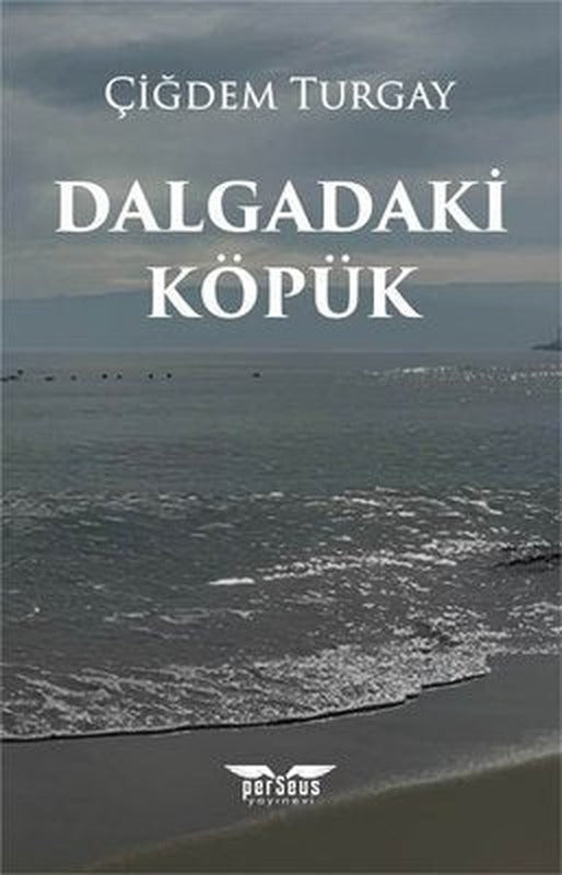 Dalgadaki Köpük | Perseus Yayınevi (İnce Kapak)
