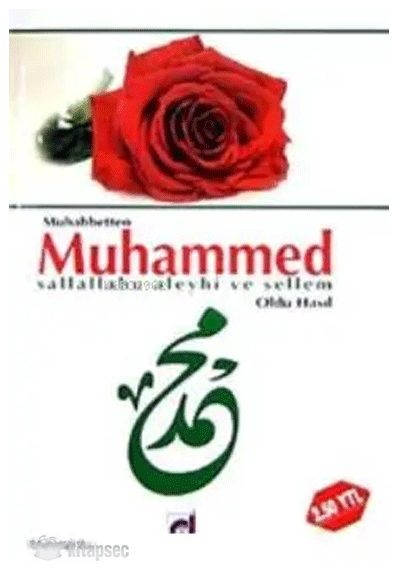 Muhabbeten Muhammed Sallallahu Aleyhi ve Sellem Oldu Hasıl Dua Yayıncılık - Mehmet Ali Gönül kitap kapağı