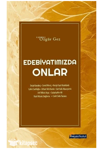 Edebiyatımızda Onlar - Özgür Gez kitap kapağı