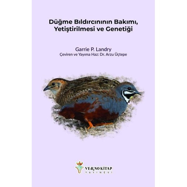 Düğme Bıldırcınının Bakımı, Yetiştirilmesi ve Genetiği