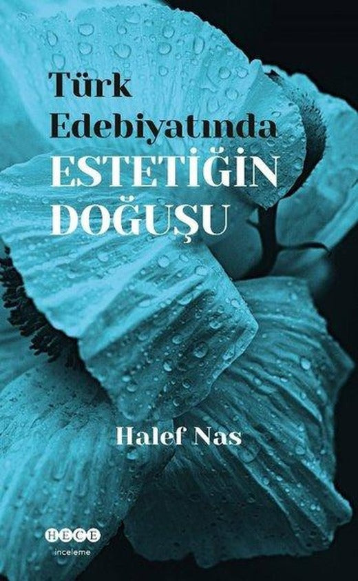 Türk Edebiyatında Estetiğin Doğuşu | Hece Yayınları (İnce Kapak)