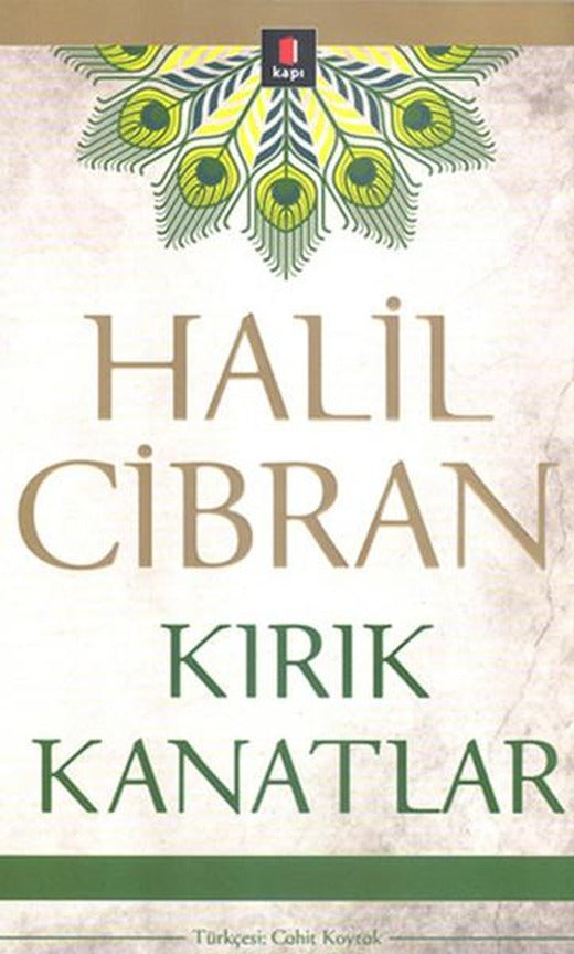 Kırık Kanatlar | Kapı Yayınları - Roman Dizisi (İnce Kapak)