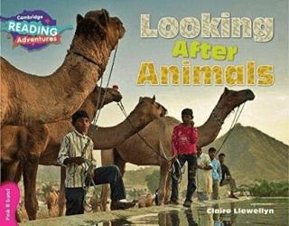 Looking After Animals | Cambridge Yayınları (Ciltsiz) - Resim 1