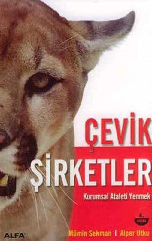 Çevik Şirketler | Alfa Yayınları