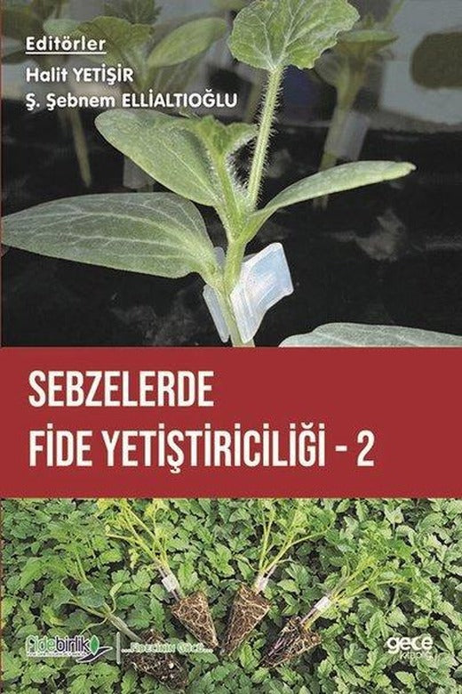 Sebzelerde Fide Yetiştiriciliği - 2 | Gece Kitaplığı (İnce Kapak)