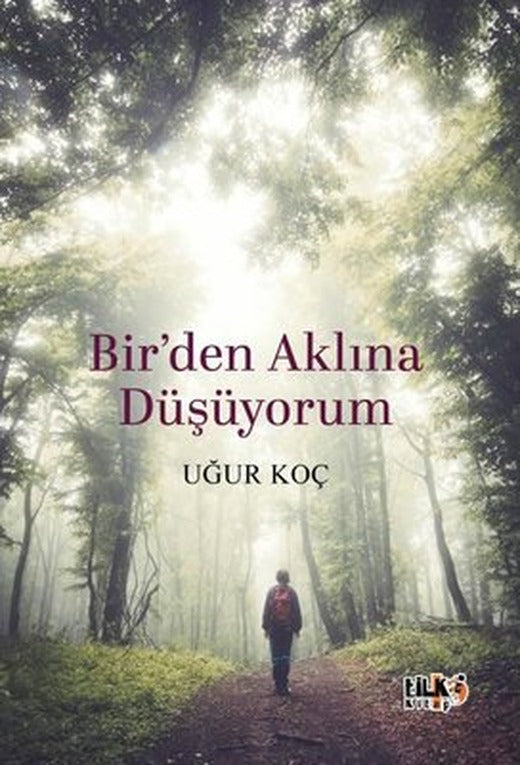 Bir'den Aklına Düşüyorum | Tilki Kitap (İnce Kapak)