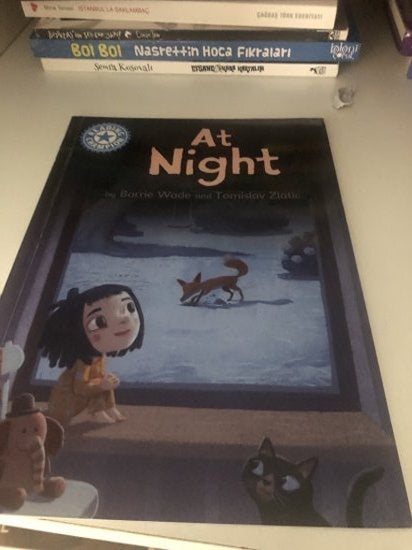 Reading Champion: At Night - Barrie Wade kitap kapağı