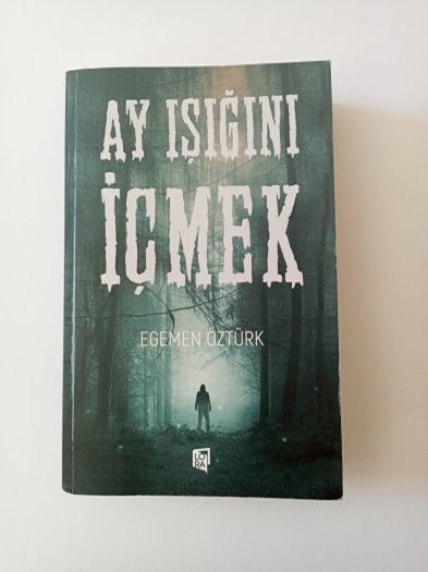 Ay Işığını İçmek - EGEMEN ÖZTÜRK kitap kapağı