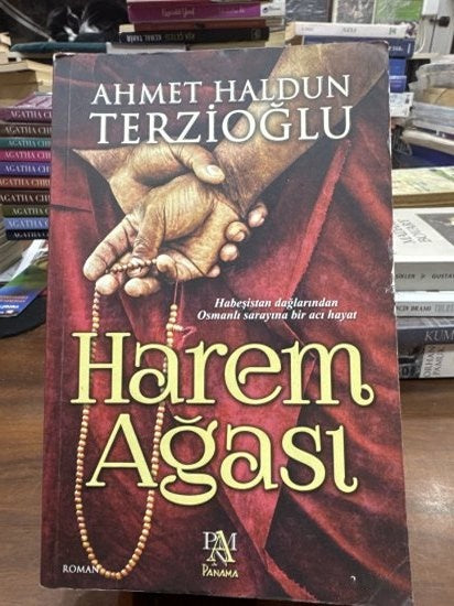 Harem Ağası - Ahmet Haldun Terzioğlu kitap kapağı