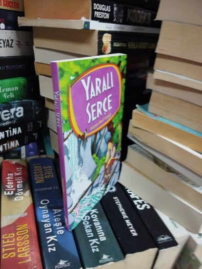 Yaralı Serçe - Hasan Nail Canat kitap kapağı