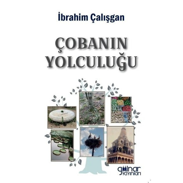 Çobanın Yolculuğu