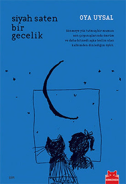Siyah Saten Bir Gecelik | Kırmızı Kedi