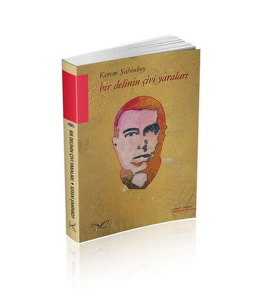 Bir Delinin Çivi Yaraları | MedaKitap