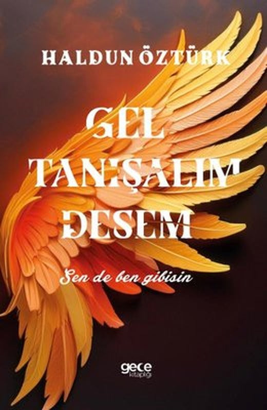 Gel Tanışalım Desem | Gece Kitaplığı (İnce Kapak)