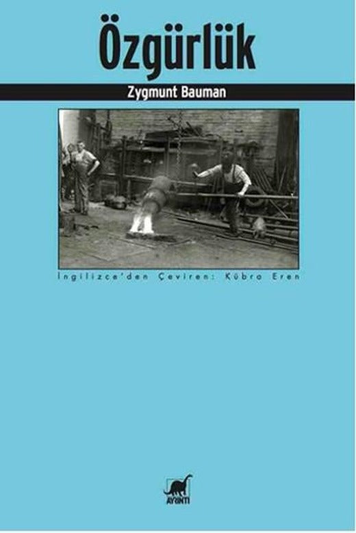 Özgürlük | Ayrıntı Yayınları (İnce Kapak)