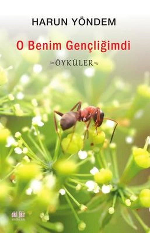 O Benim Gençliğimdi - Öyküler | Akıl Fikir Yayınları