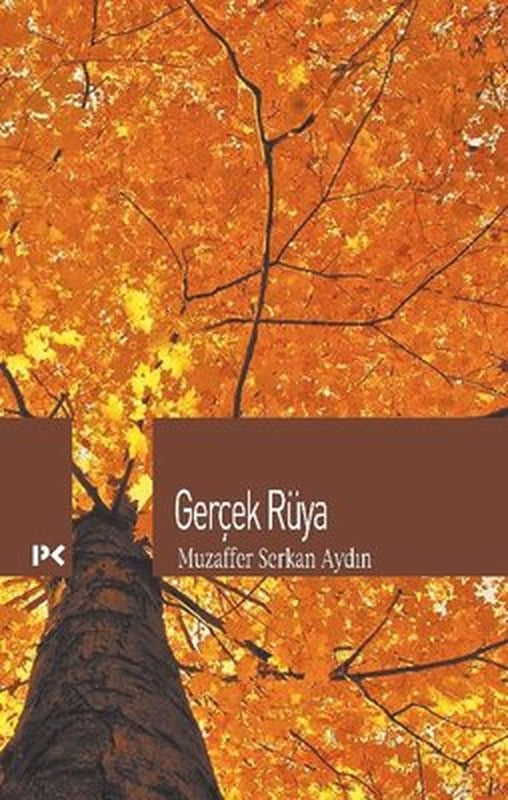 Gerçek Rüya | Profil Kitap