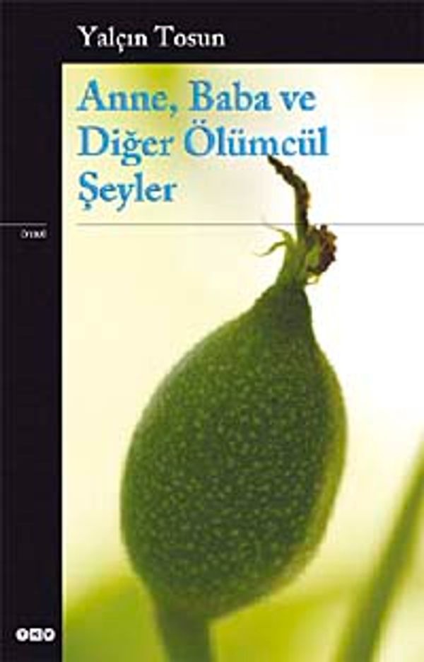 Anne Baba ve Diğer Ölümcül Şeyler | Yapı Kredi Yayınları (İnce Kapak)