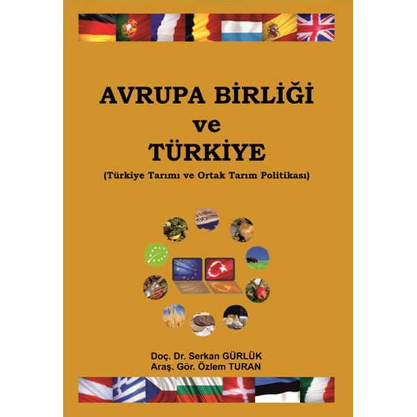 Avrupa Birliği ve Türkiye | Ekin Basım Yayın (İnce Kapak)