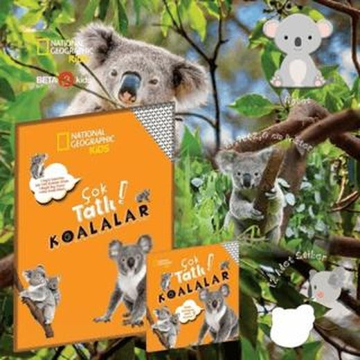 Çok Tatlı Koalalar - National Geographic Kids | Beta Kids (Ciltsiz)