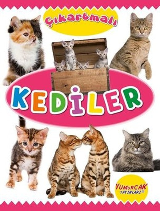 Çıkartmalı Kediler | Yumurcak Yayınları