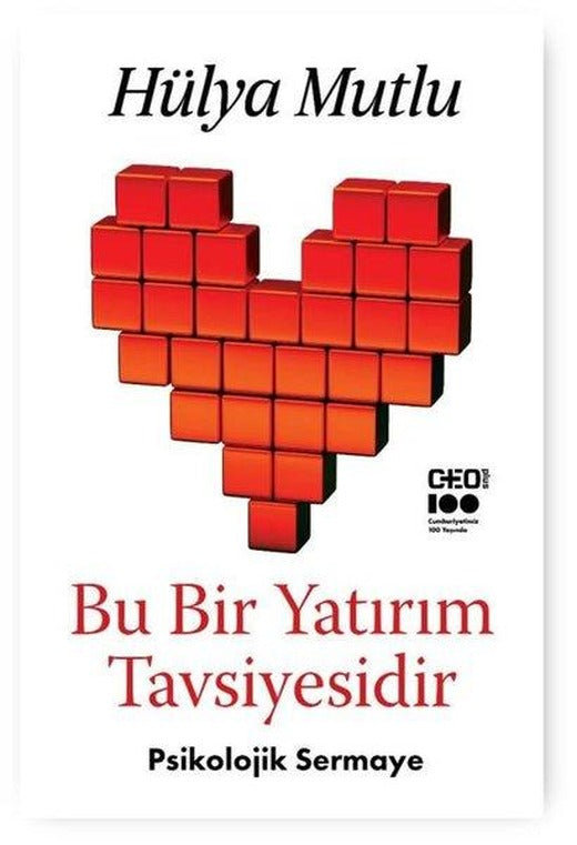 Bu Bir Yatırım Tavsiyesidir | CEO Plus (İnce Kapak)
