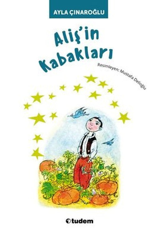 Aliş'in Kabakları | Tudem Yayınları